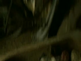Piroska Molnár in Taxidermia (2006) 3