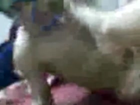 Mirna Pereira Sex Tape 7