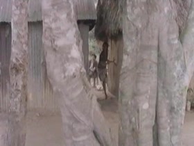 Rosa Gloria Vasquez in Savana violenza carnale (1979) 1