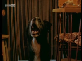 Maria Schrader in Der Unfisch (1996) 15