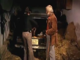 Rebeca Romer in Perros Callejeros (1977) 11