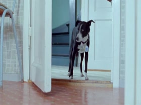 Helene Bergsholm in Fa meg pa for faen (2011) 2