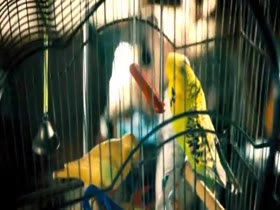 Natalie Dormer nude, sex scene in Rush 5