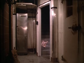 Carrie Fisher underwear scenes 4