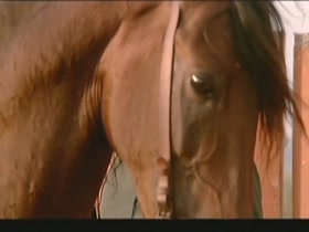 Bo Derek Blonde , Vintage scene in Bolero (1984) 13