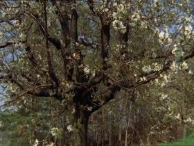Ursula Maria Schaefer in Rita Waldenberg 2