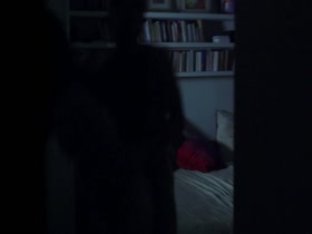 Baya Rehaz nude, boobs scene in So Long 13