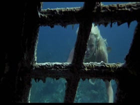 Daryl Hannah boobs , nude scene in Splash (1984) 5
