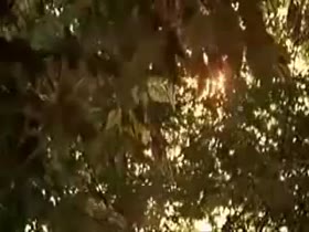 A.J. Cook Hot, Fetish in The Virgin Suicides 3