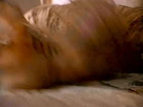Shannon Tweed in Indecent Behavior 3 (1995) 19