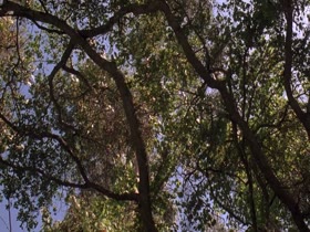Debi Sue Voorhees in Friday the 13th: A New Beginning 17
