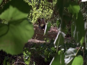 Debi Sue Voorhees in Friday the 13th: A New Beginning 7