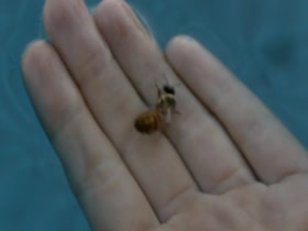 Arielle Kebbel in The After s01e01 (2014) 11