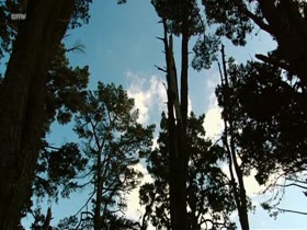 Ludivine Sagnier nude . boobs scene in La Petite Lili (2003) 11