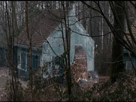 Geraldine Pailhas in Louis-Ferdinand Celine (2016) 2