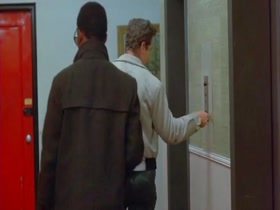 Joie Addison in What Do You Say to a Naked Lady? (1970) 13