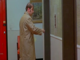 Joie Addison in What Do You Say to a Naked Lady? (1970) 17