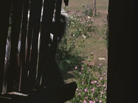 Jenny Agutter Outdoor , Vinage in Walkabout (1971) 3