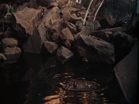 Jenny Agutter Outdoor , Vinage in Walkabout (1971) 7