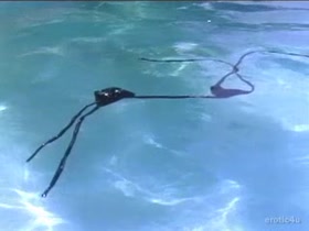 Landon Hall ,Dana Plato nude, pool scene in Different Strokes  18