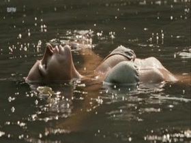 Halina Reijn Isabelle (NL2011)  4