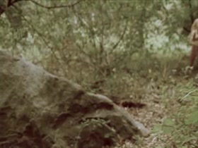 Jacqui Holland Monsters In The Woods  15