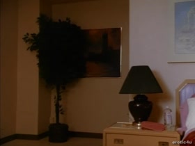Kaitlyn Ashley Indecent Behavior 3 (1995)  1