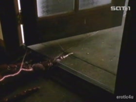 Nanette Bianchi nude, shower scene in Killer Eye 2