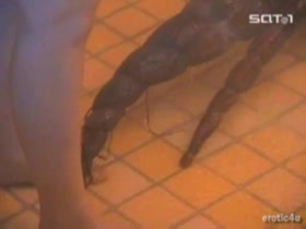 Nanette Bianchi nude, shower scene in Killer Eye 6