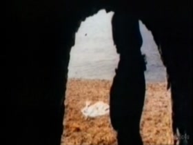 Ornella Muti hot scene in Il Sole Nella Pelle 12