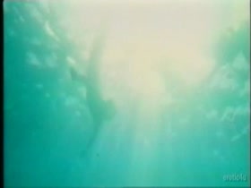 Ornella Muti nude , boobs scene in Il Sole Nella Pelle 18