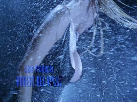 Pamela Anderson Barb Wire (1996) hd 