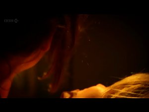 Alana Hood , Anna Skellern scene in Lip Service (2010) 17