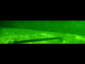 Sarah Oh wet , hot scene in Crypt (2009) 12