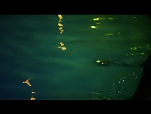 Emmy Rossum pool , nude scene in Shameless (2011) 5