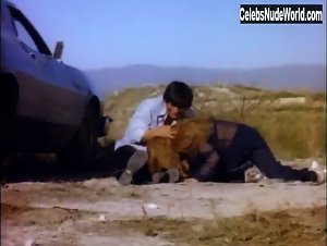 Colleen Brennan in Supervixens (1975) 18
