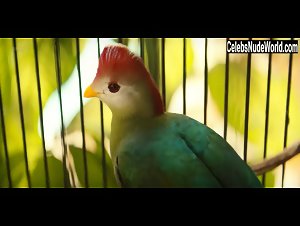 Tessa Ia in Narcos: Mexico (series) (2018) 5