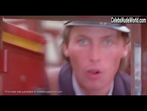 Anita Lamar Lesbian , Vintage in Sechs Schwedinnen auf der Alm (1983) 20