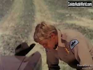 Uschi Digard in Russ Meyer's Cherry, Harry and Raquel! (1970) 14