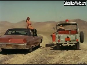 Uschi Digard in Russ Meyer's Cherry, Harry and Raquel! (1970) 8