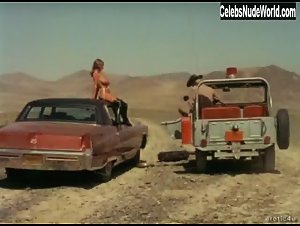 Uschi Digard in Russ Meyer's Cherry, Harry and Raquel! (1970) 9