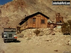 Linda Ashton Vintage , Hot in Russ Meyer's Cherry, Harry and Raquel! (1970) 1