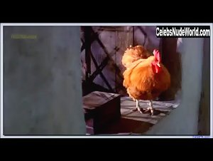 Sophie Dix Explicit , boobs in Hour of the Pig (1993) 11