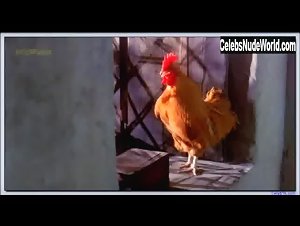 Sophie Dix Explicit , boobs in Hour of the Pig (1993) 18