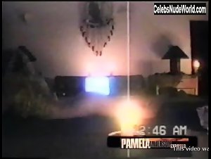 Pamela Anderson and Brett Michaels Sex Tape (2004) 16