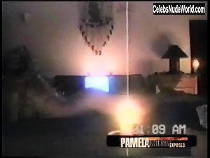 Pamela Anderson and Brett Michaels Sex Tape (2004) 17