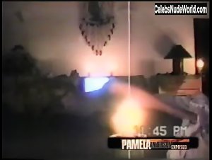 Pamela Anderson and Brett Michaels Sex Tape (2004) 4