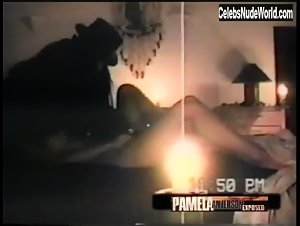 Pamela Anderson and Brett Michaels Sex Tape (2004) 6