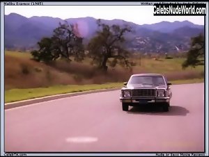 Shelley Taylor Morgan boobs , Vintage in Malibu Express (1985) 13