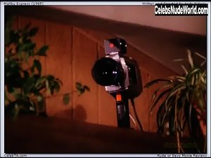 Shelley Taylor Morgan boobs , Vintage in Malibu Express (1985) 3